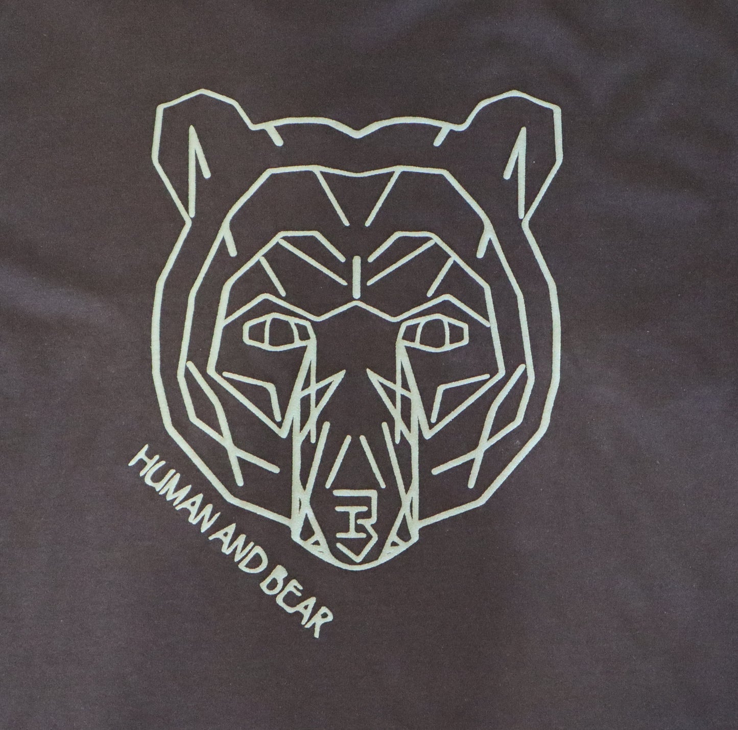 green Geometric bear design on a black t-shirt with 'Human and Bear' text