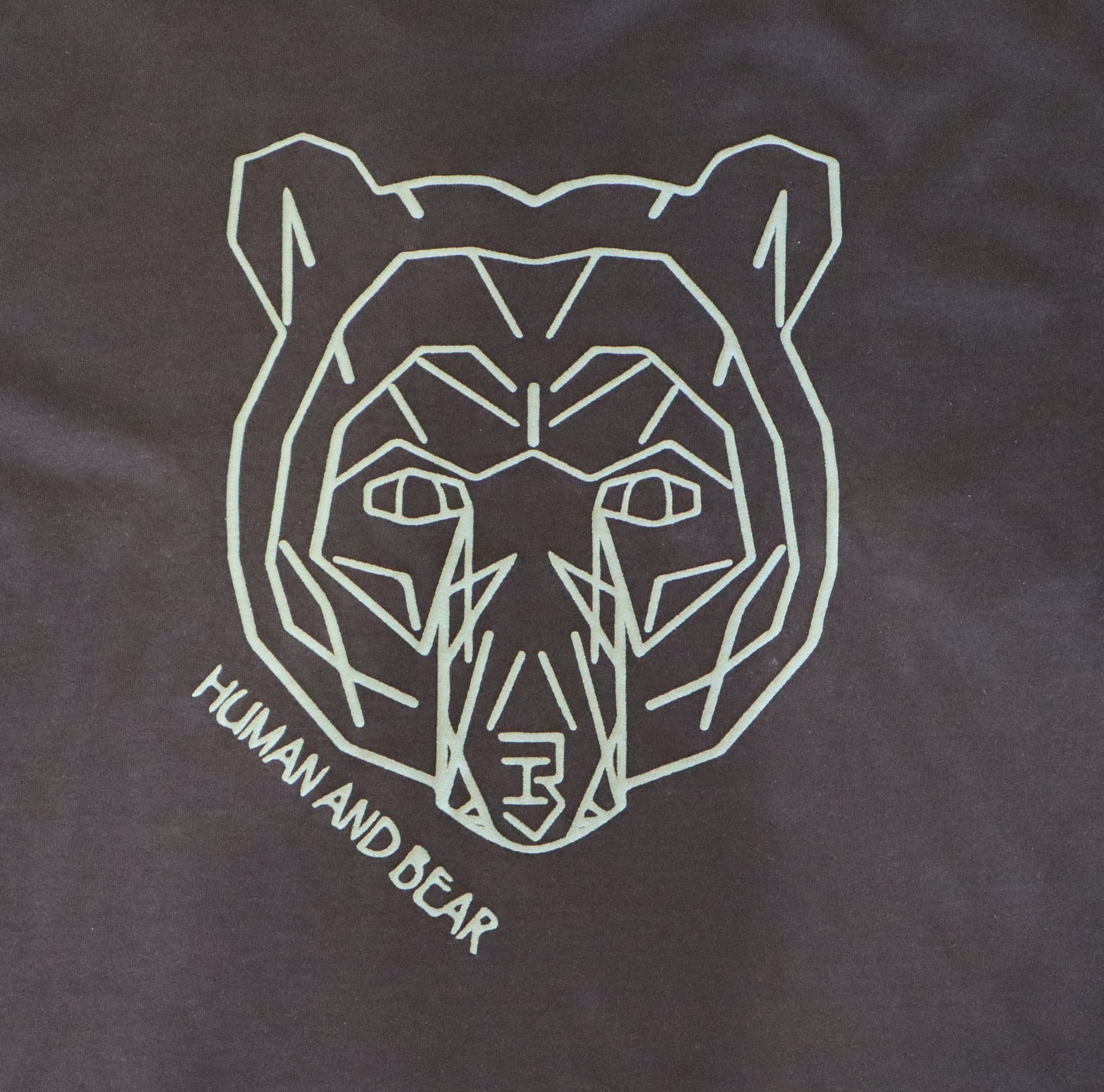 green Geometric bear design on a black t-shirt with 'Human and Bear' text